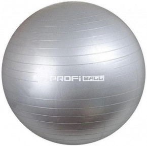    Profiball MS 1540  (ZE35014940)