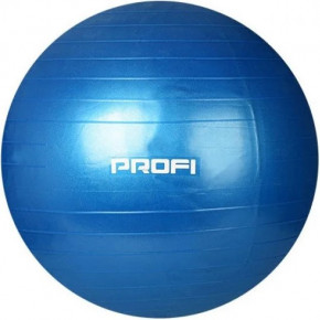    Profiball MS 1541  (ZE35014941)