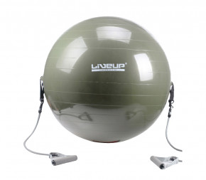    LiveUp gym ball with expander 65  