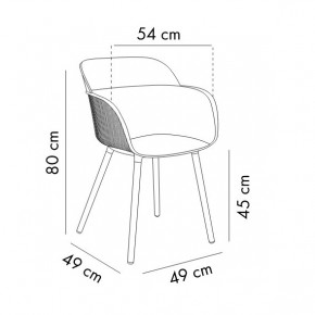  Tilia Shell-N    6