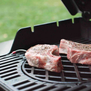   WEBER Spirit EPX-325s GBS  46713575 7