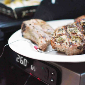   WEBER Spirit EPX-325s GBS  46713575 8