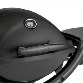   (Weber Q1200)  51010075 13