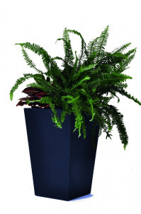    Keter Medium Rattan Planter  (7290103659288) 4