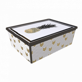  QUTU TREND BOX PINEAPPLE LIFE 25. (TREND BOX / PINEAPPLE LIFE 25.)