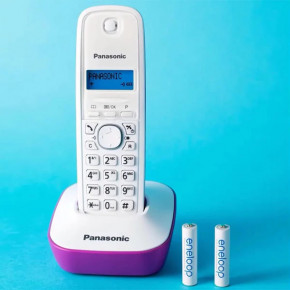 Panasonic Eneloop BK-4MCDE/4BE, AAA/(HR03), 800mAh, LSD Ni-MH, Eco Box 4 .,  11