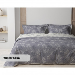     Happy Sleep Winter calm 2-03794-24832 150215 