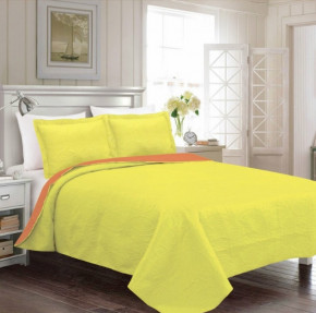    250260 Rainbow Arya AR-TR1001621-light-yellow