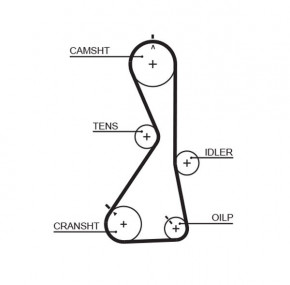   Gates 5481XS (8597-15481) 3