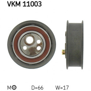   SKF   (VKM 11003)