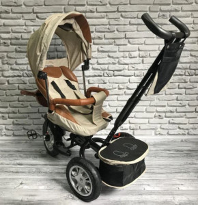   Best Trike 5099-1  (VB16KAR-50991BEZH) 4