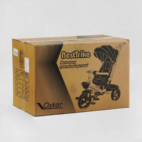  6390 - 64-793 BestTrike Oscar (1) 8