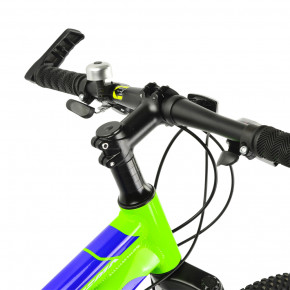  RoyalBaby Fema MTB 1.0 24  9