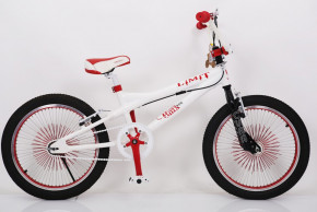   Sigma BMX 20