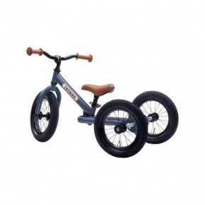  Trybike   (TBS-3-GRY) 3