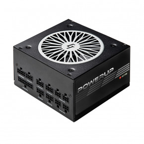   Chieftronic 550W PowerUP Gold (GPX-550FC)