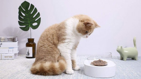  Petkit FRESH NANO Pet Cat TWO Bowl Stand 4