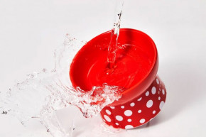   Petkit Polka Dot Bowl Red 8