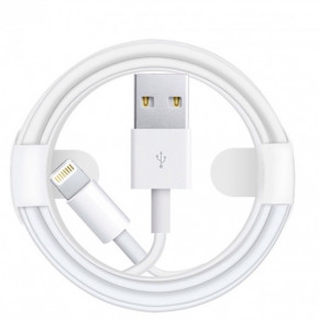  Lightning to USB (1) 