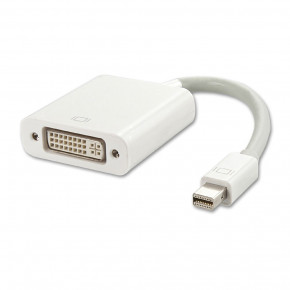  Kingda mini DisplayPort M - DVI F  (S0217)