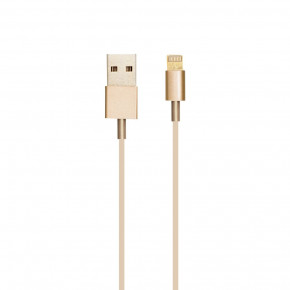  USB  Iphone 5S Lightning Gold