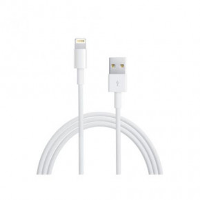  USB Lightning SK iPhone 5 MD818FE 