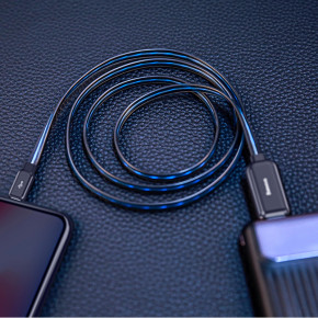 - Baseus Glowing Data Lightning Cable (1m) 