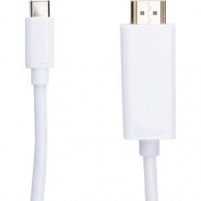    PowerPlant HDMI male - USB Type-C, 1.8   (CA910878) (0)