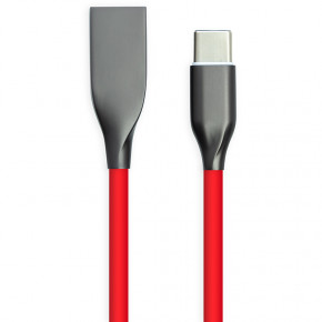   PowerPlant USB - Type-C 2   (CA911394)