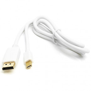  PowerPlant Mini DisplayPort - DisplayPort 1  White (CA911868)