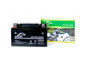   Yuasa 12V 6Ah MF VRLA Battery AGM YTX7A-BS() (YTX7A-BS)