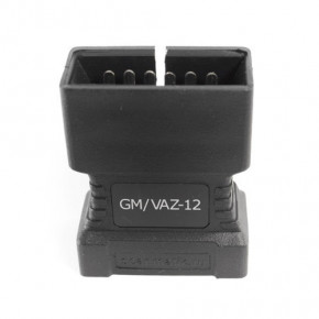      2 (GM/VAZ-12)