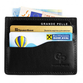   CardCase Grande Pelle 305610 4