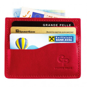    CardCase Grande Pelle 305660