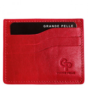    CardCase Grande Pelle 305660 4