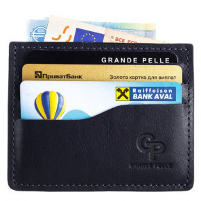 -  CardCase Grande Pelle 305670 4