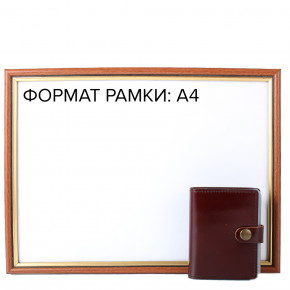    DNK Leather DNK-Cards-Kcol-PR 8