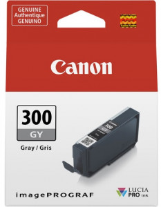  Canon PFI-300 GY (4200C001)