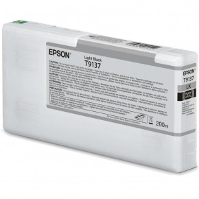   Epson C13T913700