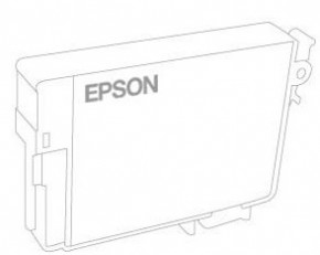   Epson C13T891300