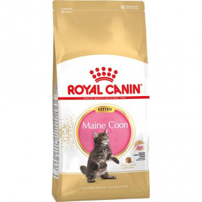   Royal Canin Maine Coon Kitten   -  15 , 4  128027