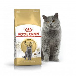   Royal Canin Adult British Shorthair       2  3