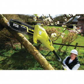   Ryobi RPP750S 4