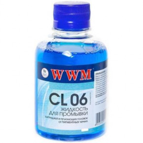   WWM pigment /100 (CL06-4)