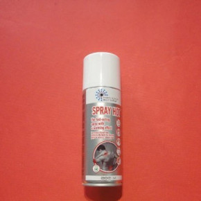   HTA Spray Hot 200  (2253019800)