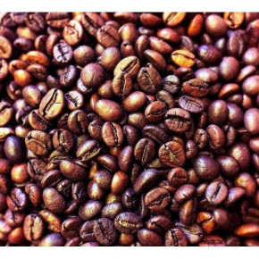   Coffeebulk Robusta Strong 18scr 100%  250  3