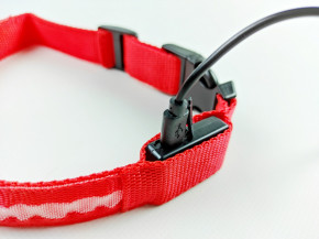      DogClub USB M/40-48  Red 1316962273 5