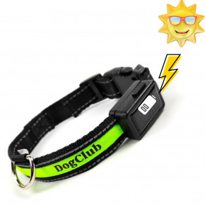      DogClub Solar Green 1553497296