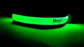      DogClub Solar Green 1553497296 4