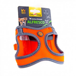  GimDog Alfresco  XS 34-36,  (080333403619)